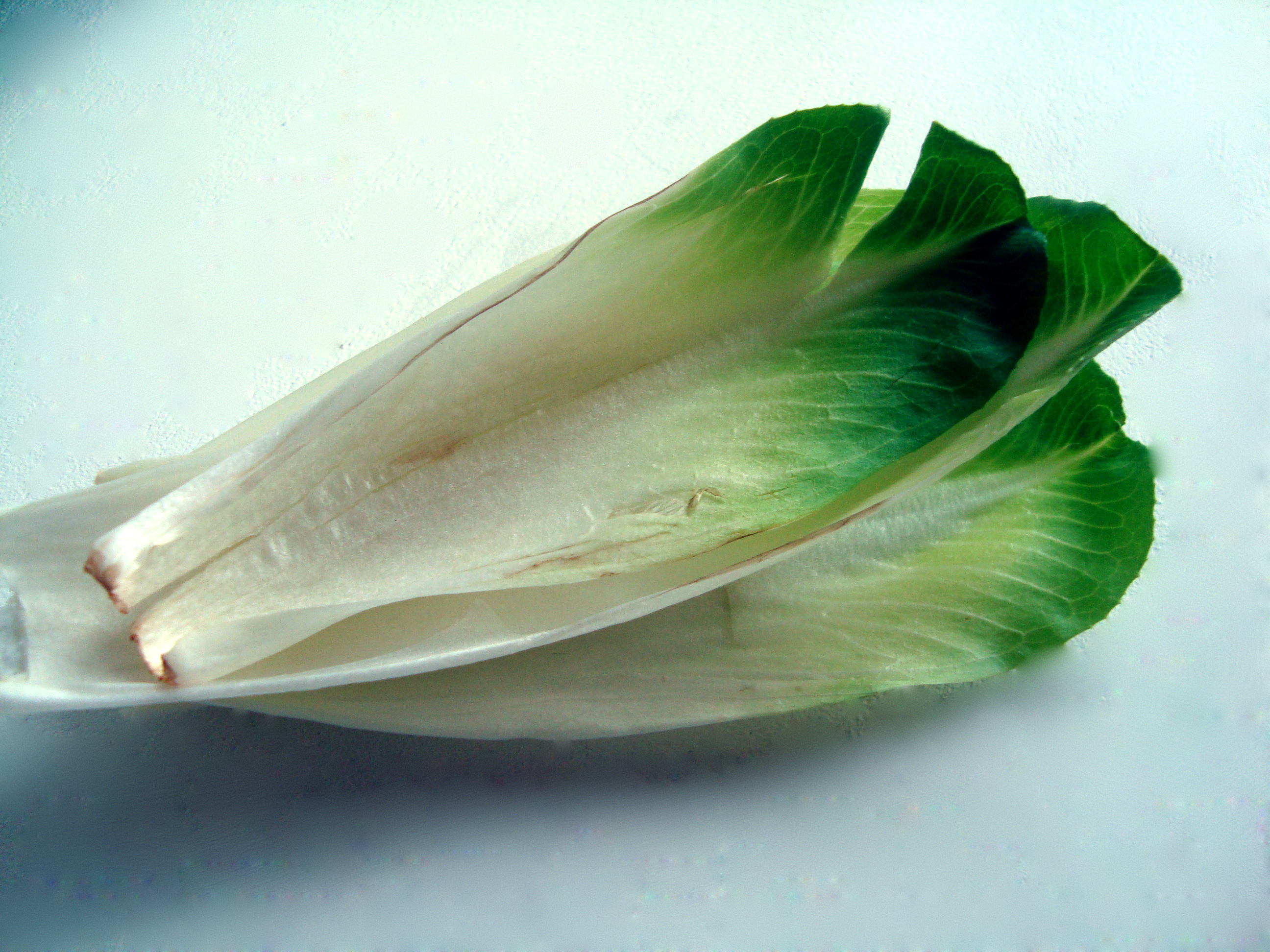 vegetable10